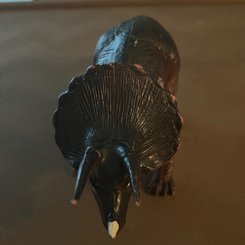 Triceratops toy